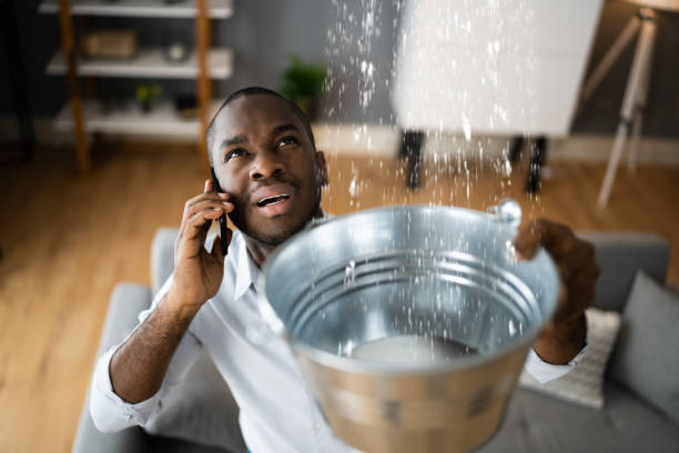  South Shore, KY Water damage restoration Pros